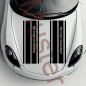 Preview: Racing stripes bumper sticker